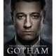 Illustration for article titled New emGotham/em Posters Are Great Except For Poison Ivys Terrible New Name